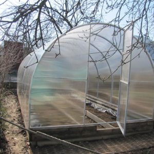 теплица